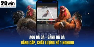 AOG đá gà