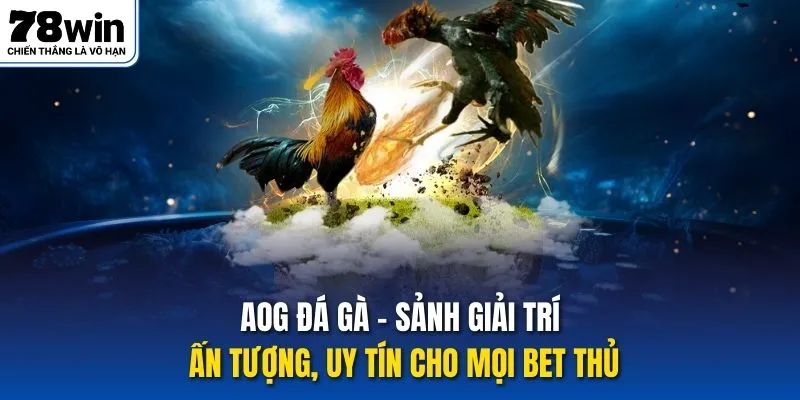 AOG đá gà - sảnh giải trí ấn tượng, uy tín cho mọi bet thủ