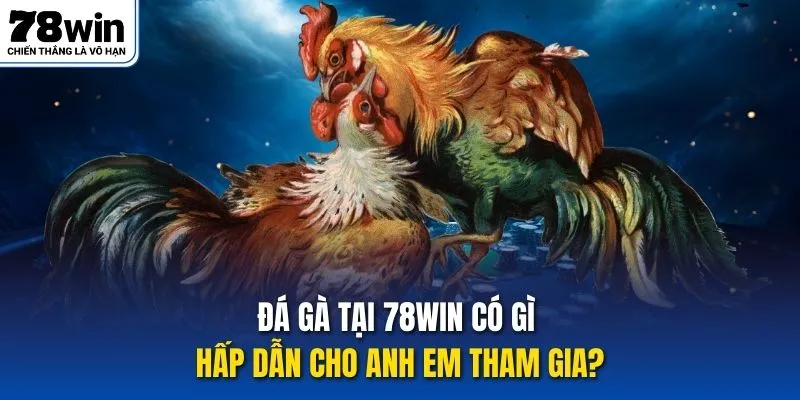 Đá gà tại 78win có gì hấp dẫn cho anh em tham gia?