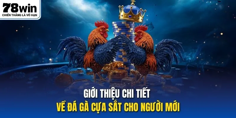 Giới thiệu chi tiết về đá gà cựa sắt cho người mới