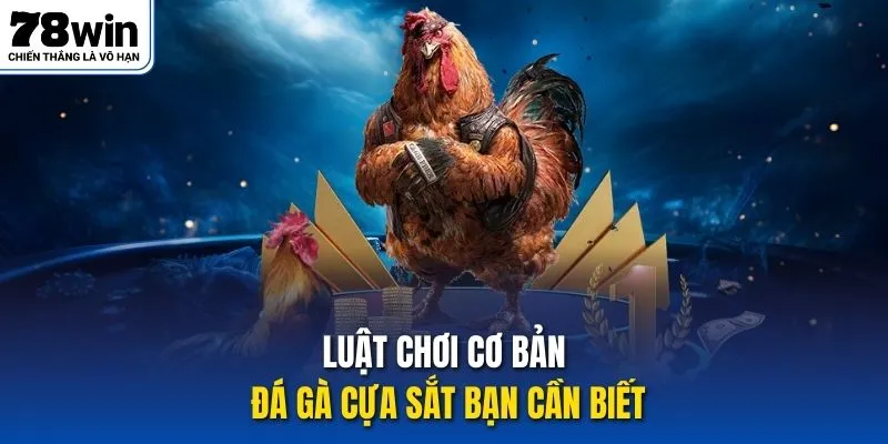 Luật chơi cơ bản đá gà cựa sắt bạn cần biết